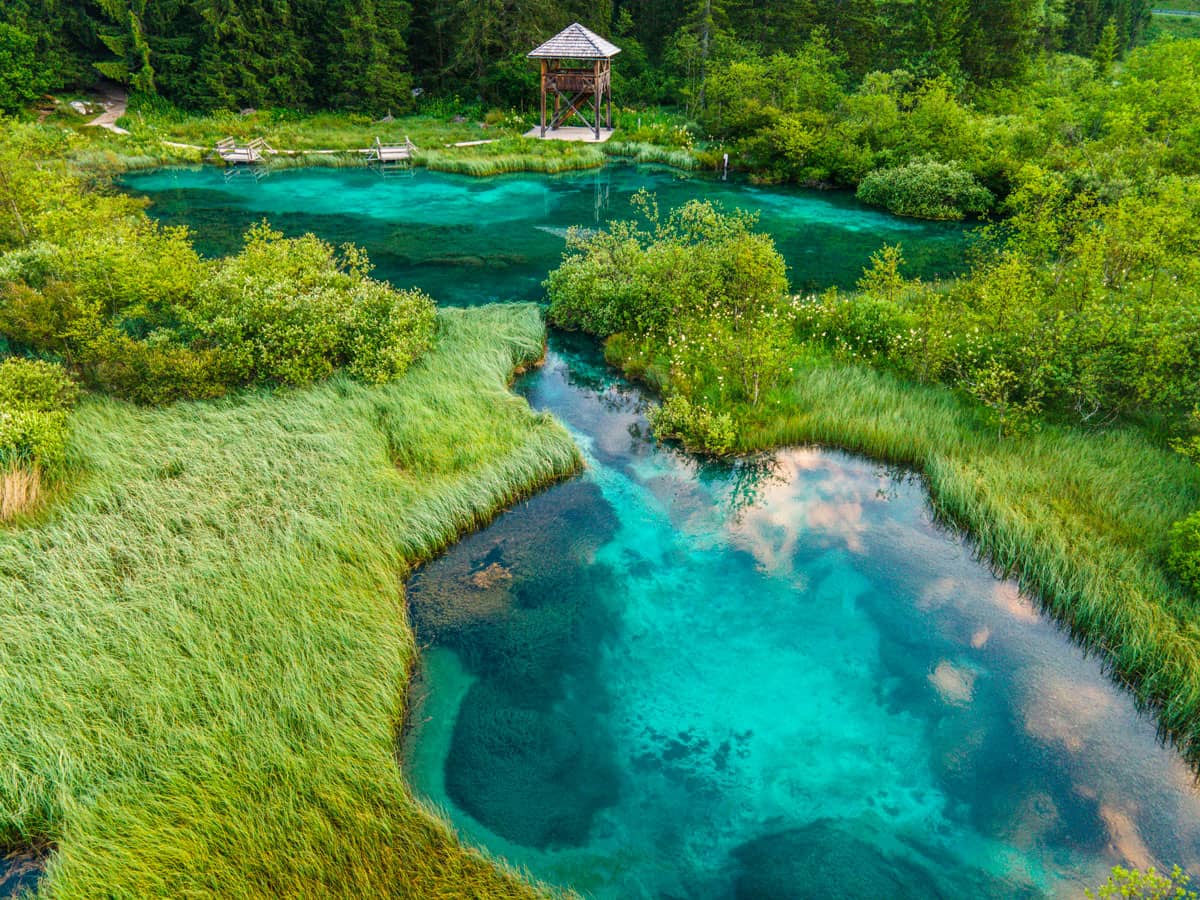 Zelenci, Julijske Alpe