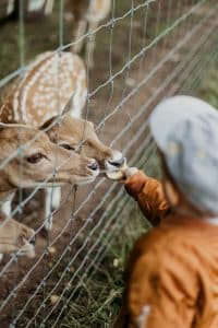Zoo